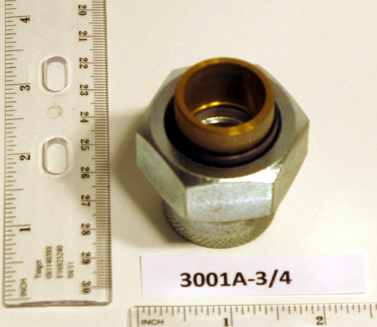 Watts 3001A-3/4