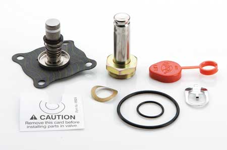 ASCO 302350 Solenoid Valve Rebuild Kit