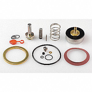 ASCO 310422 Steam Valve Rebuild Kit