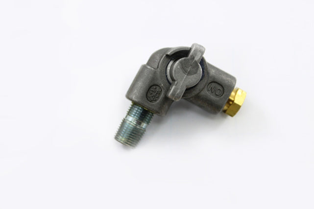 Raypak 007195F