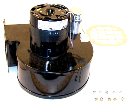 Raypak 007414F