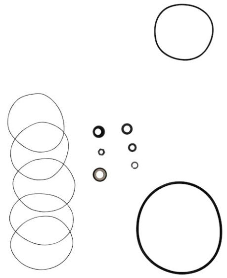 Grundfos Pumps 96450696 Pump Shaft Seal Kit