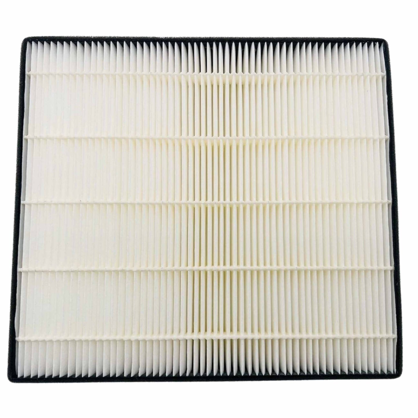 Eiki LC-XT6 Replacement Projector Air Filter