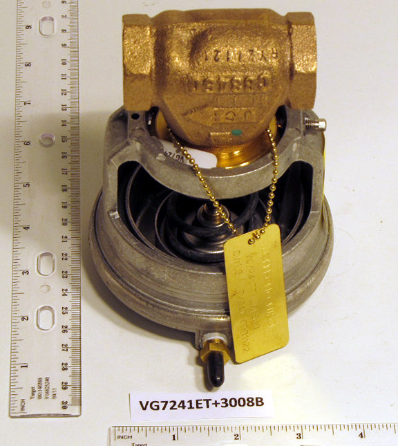Johnson Controls VG7241ET+3008B Globe Valve