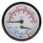 Burnham 105894-01 Gas Fired Boiler Temperature/Pressure Guage