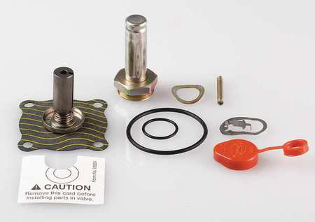 ASCO 302276 Solenoid Valve Rebuild Kit