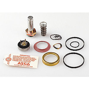 ASCO 310716 Solenoid Valve Rebuild Kit