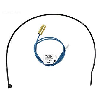 Raypak 010787F