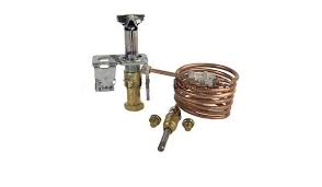 Raypak 003972F Pilot Assembly