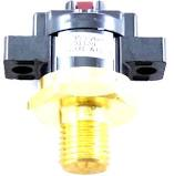 Raypak 008093F High Limit Kit