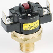 Raypak 008520F High Limit Safety Switch