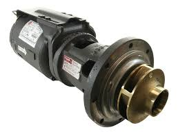 Raypak 009296F Circulation Pump