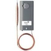 Johnson Controls A19AAC-4C Remote Bulb Control