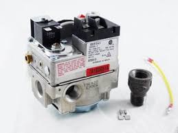 Raypak 004824F Combination Valve