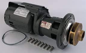 Raypak 004844F Integral Pump