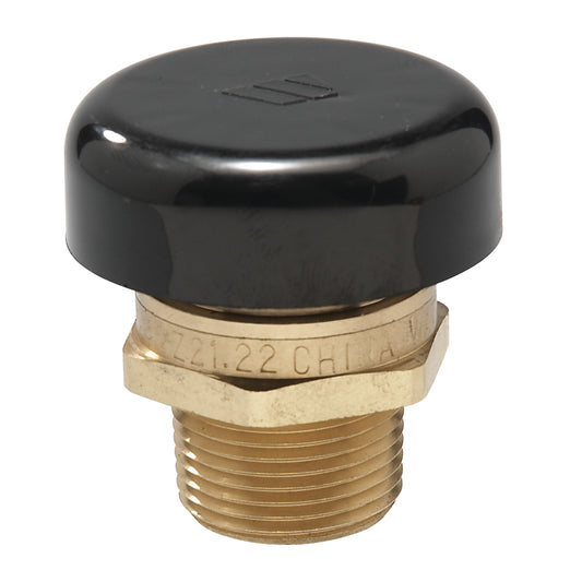 Watts LFN36M1-1/2" Vacuum Relief Valve