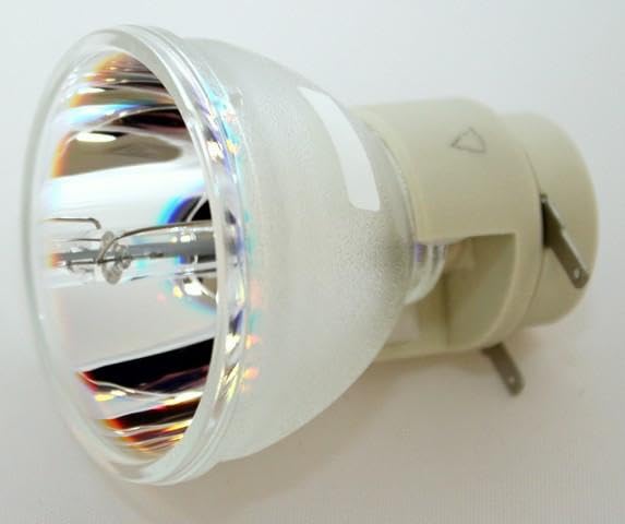 Vivitek D519 Replacement Projector Bulb (Bare Bulb - No Housing)