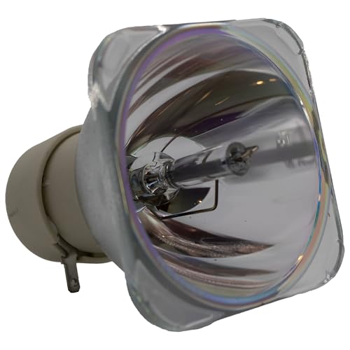 Acer EC.J5400.001 Replacement Projector Bulb (Bare Bulb - No Housing)