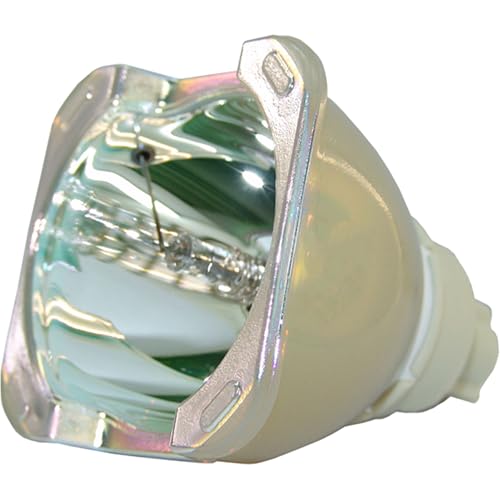 Vivitek D8300ST Replacement Projector Bulb (Bare Bulb - No Housing)