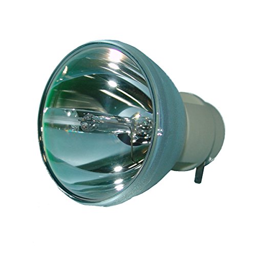 Infocus OEM SP-053 Replacement Projector Bulb (Bare Bulb - No Housing)