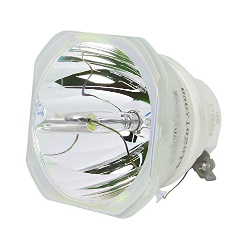 Ushio NSHA250SE Replacement Projector Bulb (Bare Bulb - No Housing)