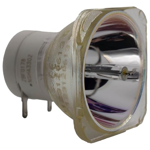 Vivitek 5811118426-OB Replacement Projector Bulb (Bare Bulb - No Housing)