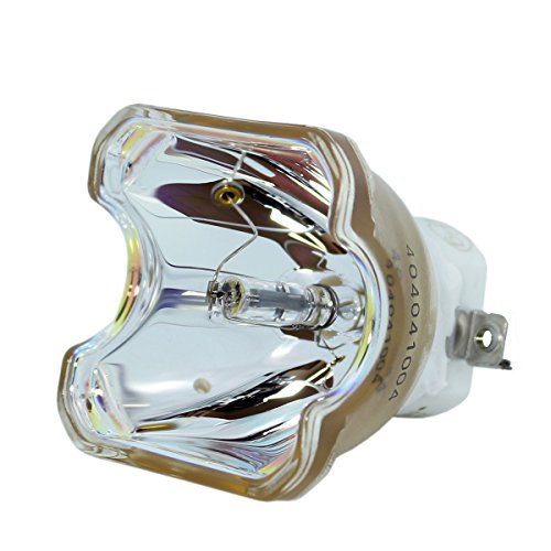 Ushio NSHA220G Replacement Projector Bulb (Bare Bulb - No Housing)