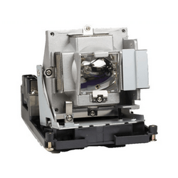 BenQ 5J.J2N05.011 Replacement Projector Lamp With Original Philips Bulb and Housing