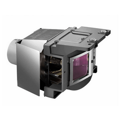 BenQ 5J.JA805.001 Replacement Projector Lamp With Original Philips Bulb and Housing