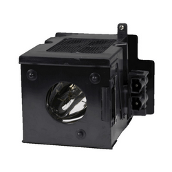 BenQ 60.J2010.CB2 Replacement Projector Lamp With Original Ushio Bulb and Housing