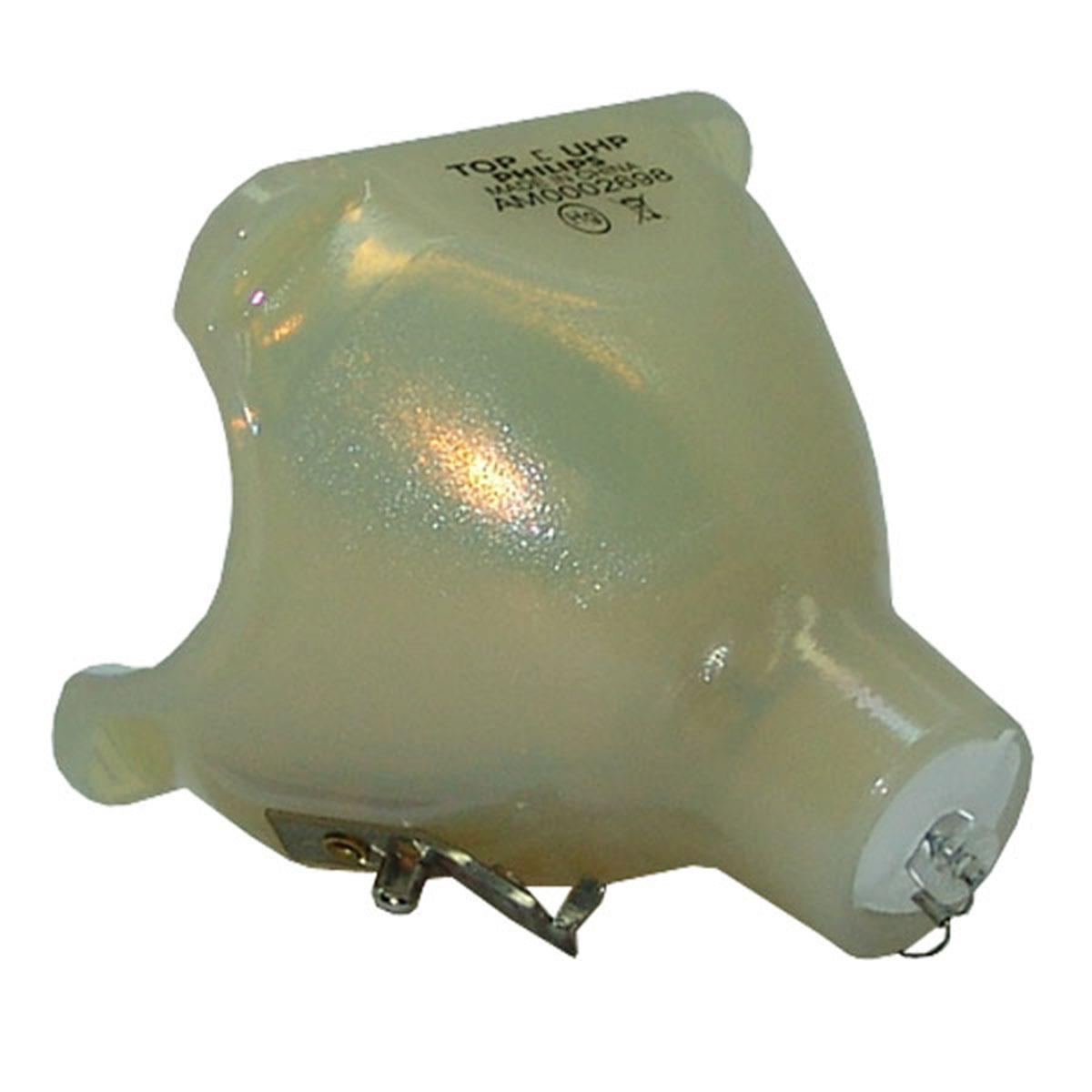 Philips 9281-307-05390 Replacement Projector Bulb (Bare Bulb - No Housing)