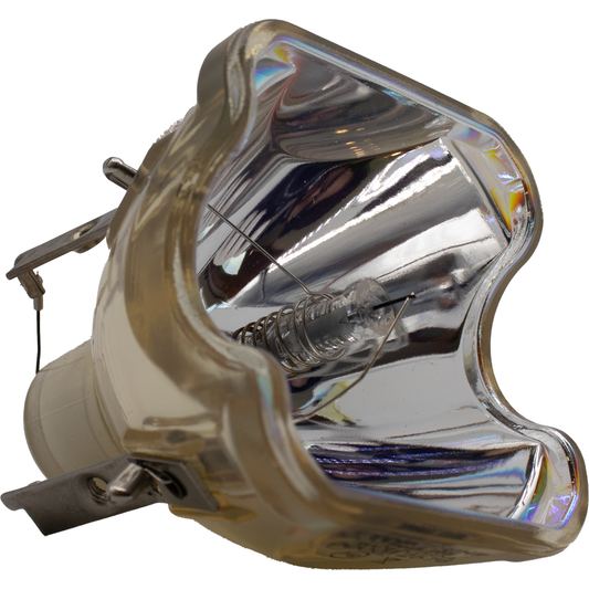 Philips 9281 360 05390 Replacement Projector Bulb (Bare Bulb - No Housing)