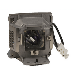 BenQ 9E.Y1301.001 Replacement Projector Lamp With Original Philips Bulb and Housing