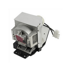 Acer EC.JC900.001 Replacement Projector Lamp With Original Philips Bulb and Housing