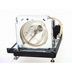 NEC LT80-LAMP Replacement Projector Lamp With Original Ushio Bulb and Housing