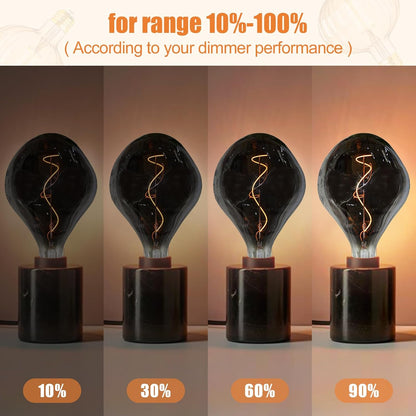 A165S Oversized Vintage LED Edison Bulb, Smoke Decorative E26 Dimmable 7W, 350 Lumens, Warm White 2200K, 1 Pack