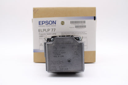 Epson ELP-LP77 Replacement Projector Lamp with Original Osram Bulb and Housing - view 4