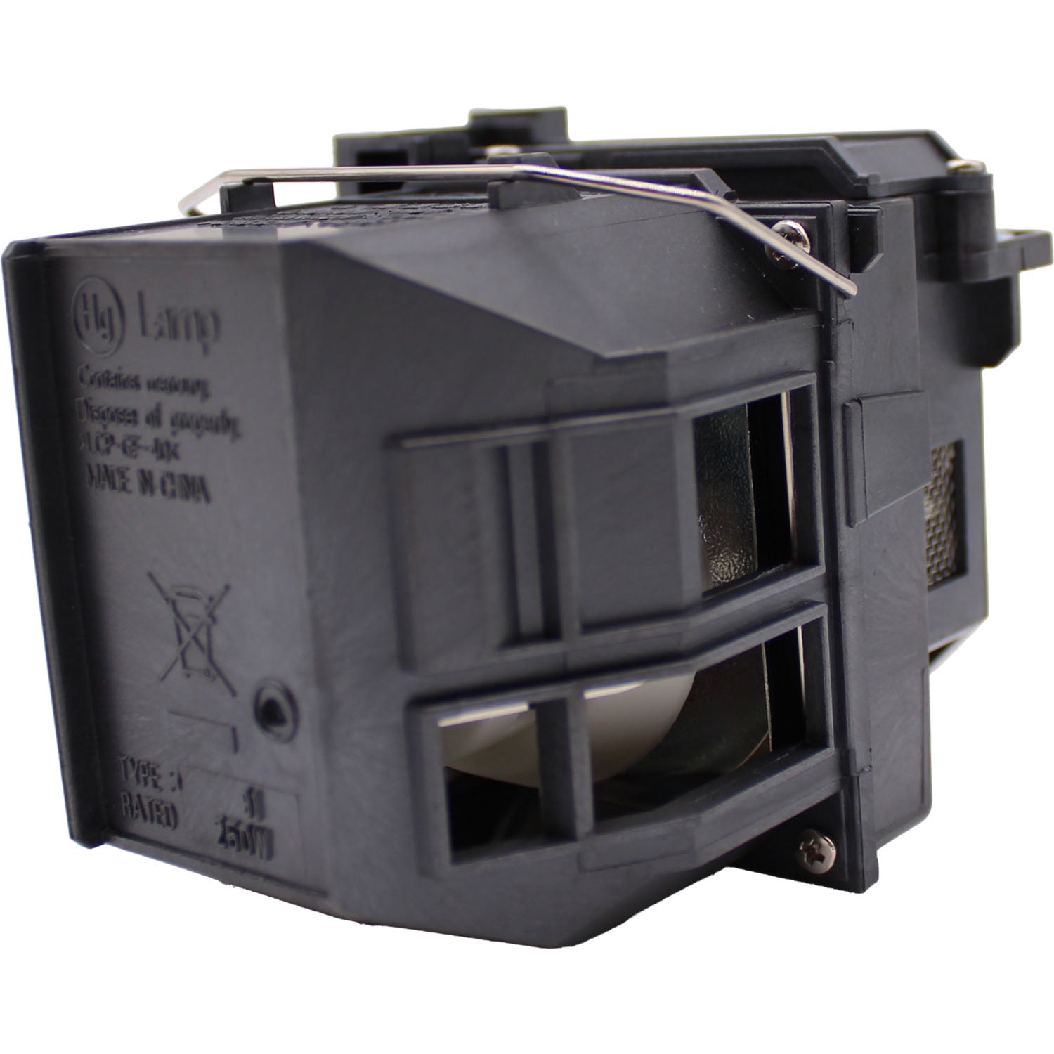 Epson 685Wi Genuine OEM Replacement Projector Lamp & Housing