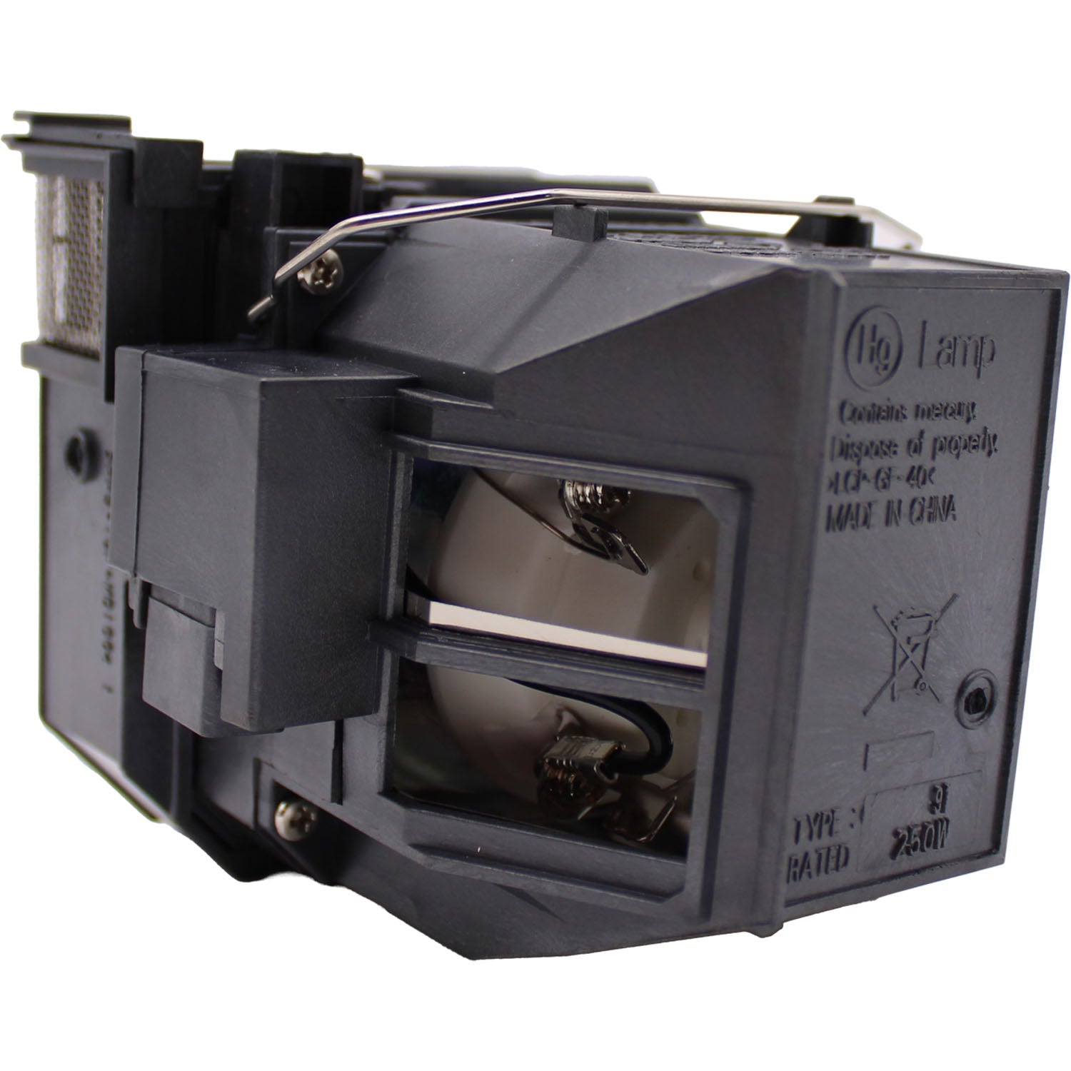 Epson V13H010L91 Genuine OEM Replacement Projector Lamp & Housing