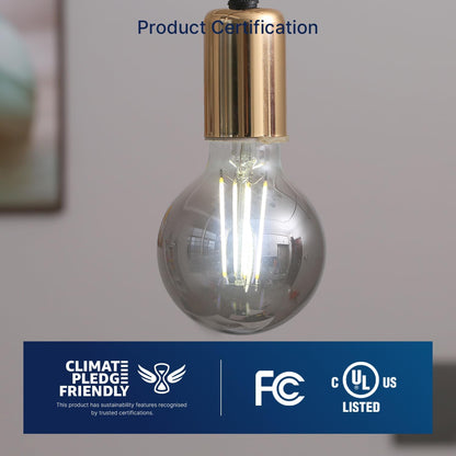 G25 Dimmable Globe LED Edison Bulbs - 5000K Daylight, Smoky Grey Glass, 4W (40W Equivalent), 300LM, E26 Base, CRI80, Energy-Efficient Decorative Lighting for Home & Commercial Use - 4 Pack