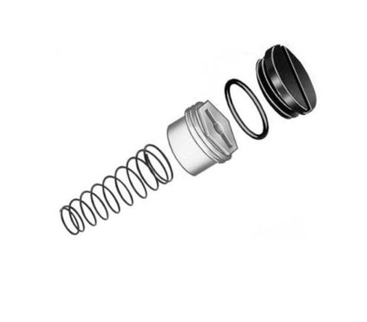 Armstrong 48G22 Valve Spring Kit