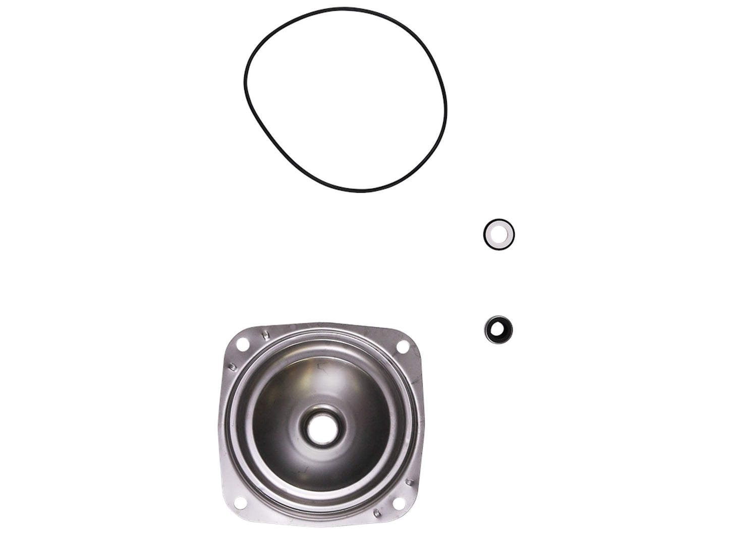 Grundfos Pumps 98715199 Pump Shaft Seal Kit