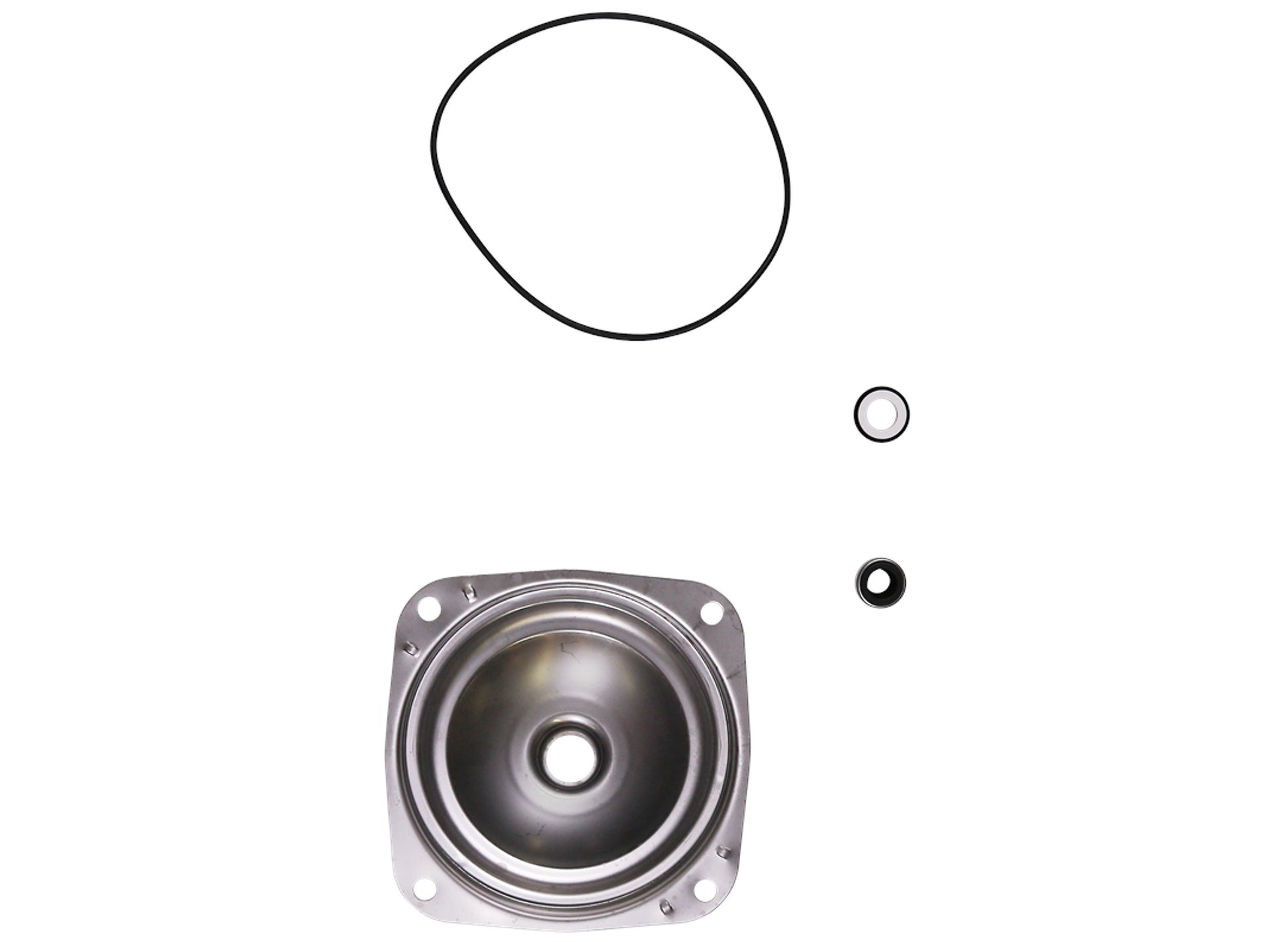Grundfos Pumps 98715199 Pump Shaft Seal Kit