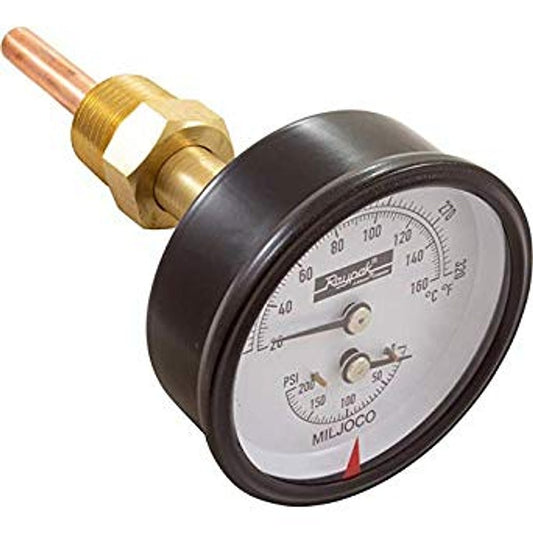 Raypak 007399F Temperature Pressure Gauge Kit