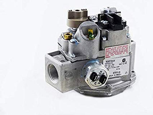 Raypak 007666F Gas Valve Kit