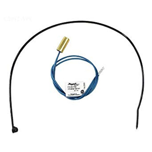Raypak 010787F Temperature Sensor