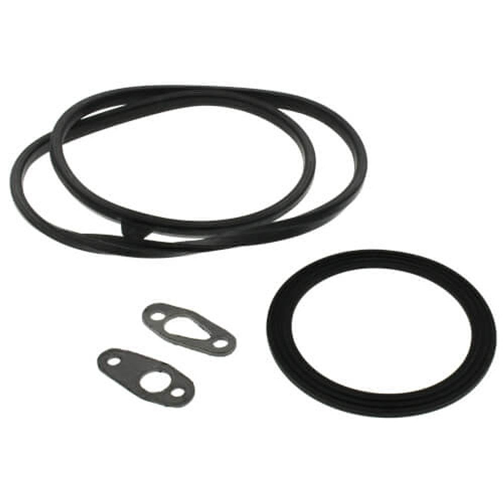 Teledyne Laars RS2109100 Gasket Set
