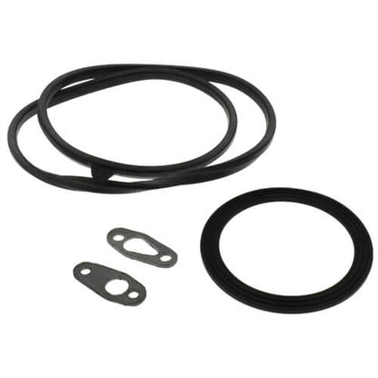 Teledyne Laars RS2109100 Gasket Set