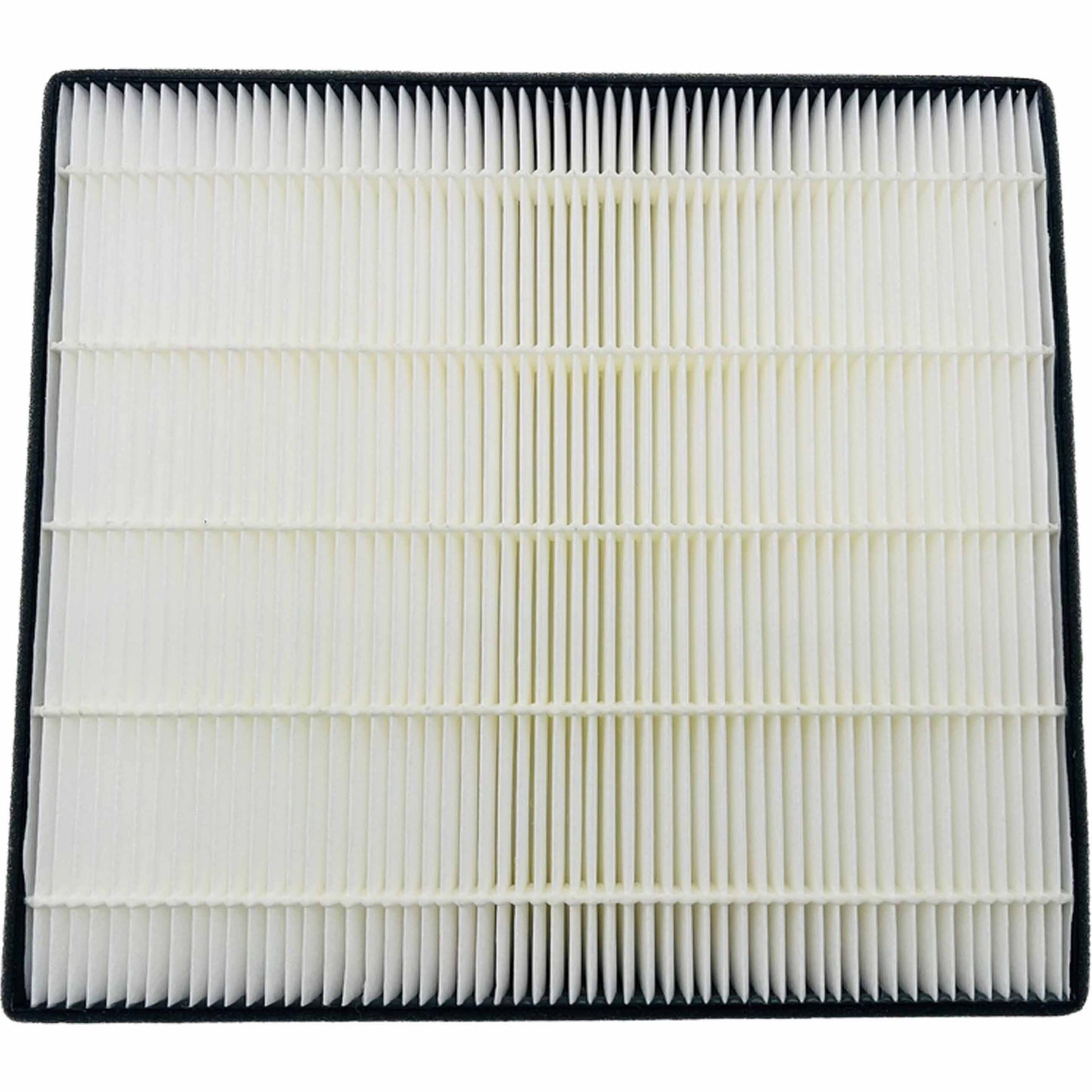 Eiki LC-XT6 Replacement Projector Air Filter