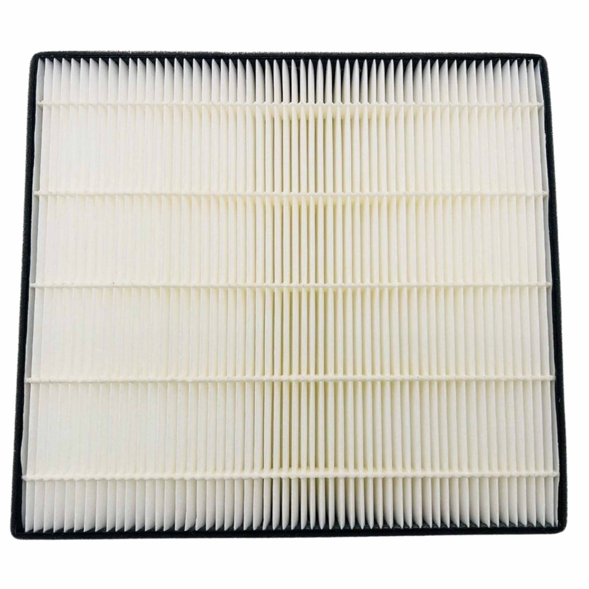 Eiki LC-XT6 Replacement Projector Air Filter